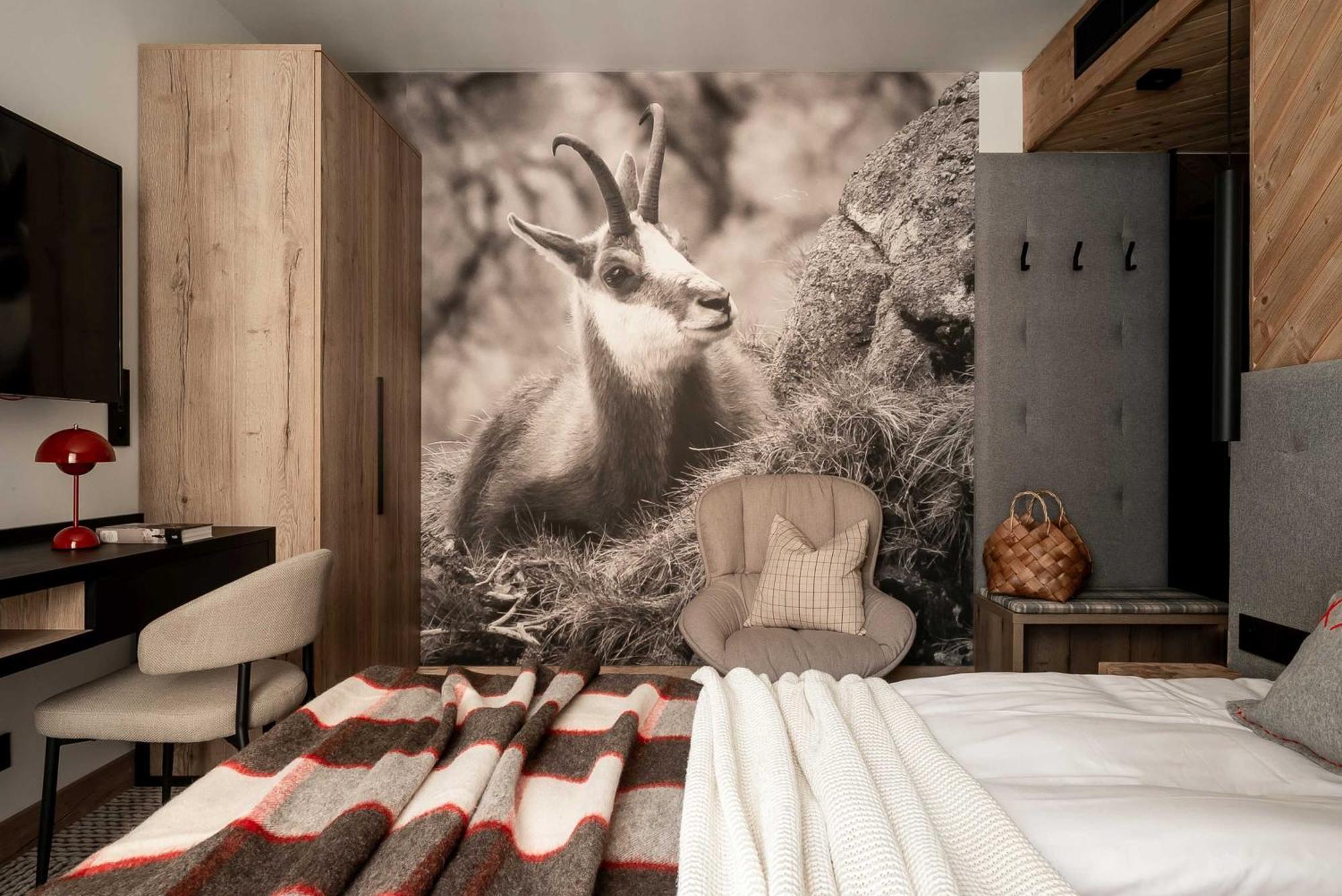 Stefanova Zakopane Aparthotel & Spa Bagian luar foto